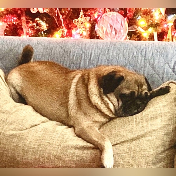 Meet your Posher, Julie - Picture 5 of 10